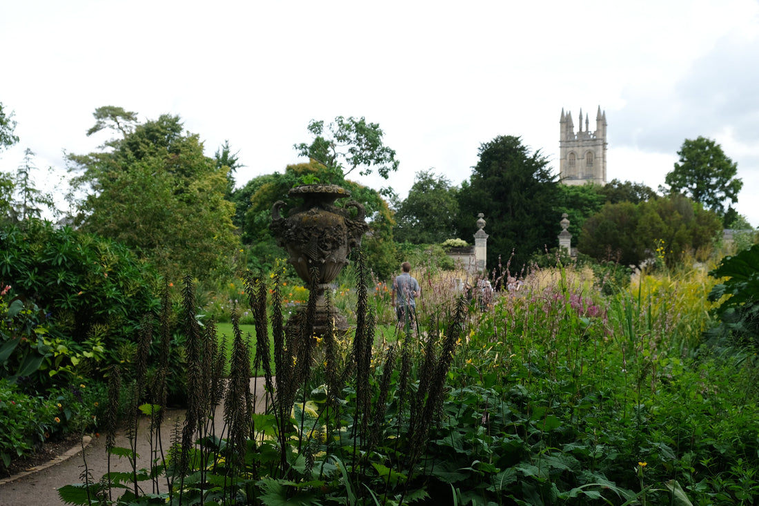 Oxford in the Summer: Our Guide to the Best Things to Do