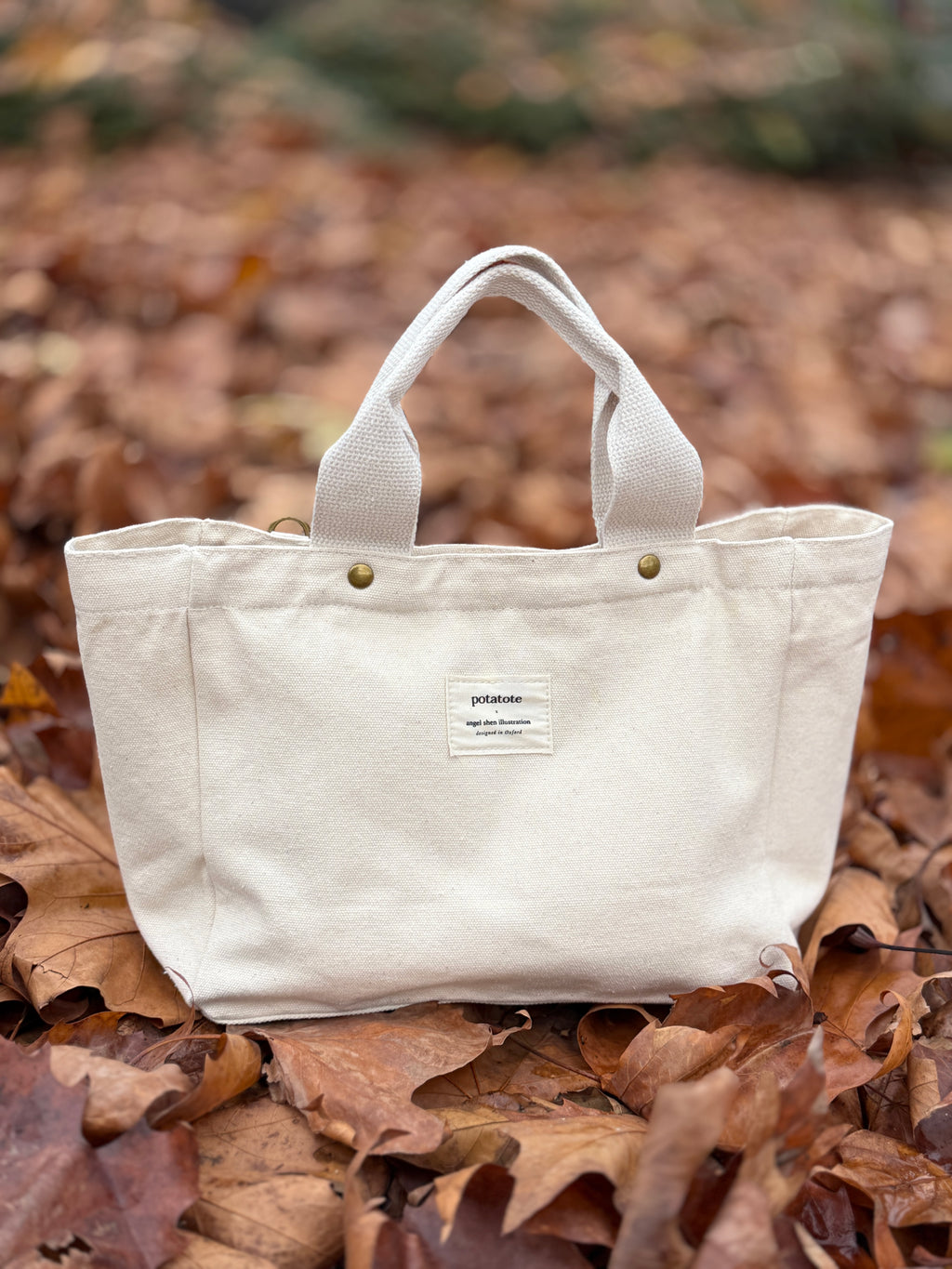 Camera in Secret — Meadow Tote