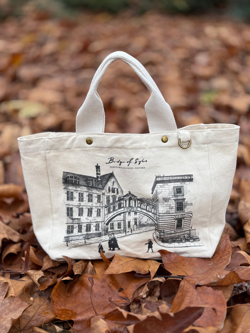 Scholars in Passing — Meadow Tote