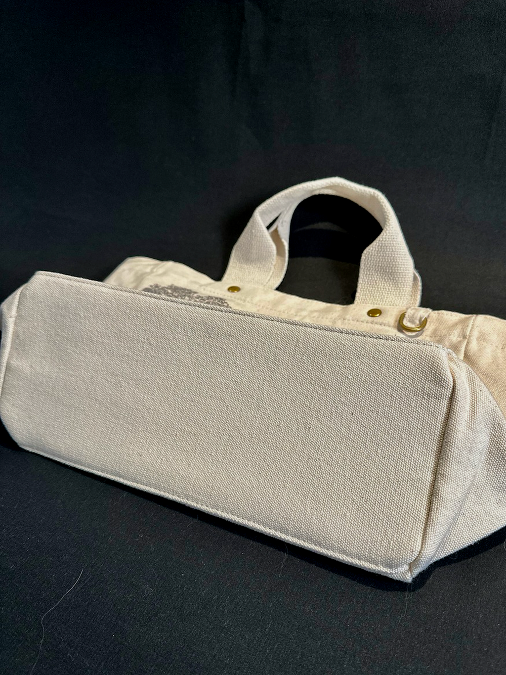 Scholars in Passing — Meadow Tote