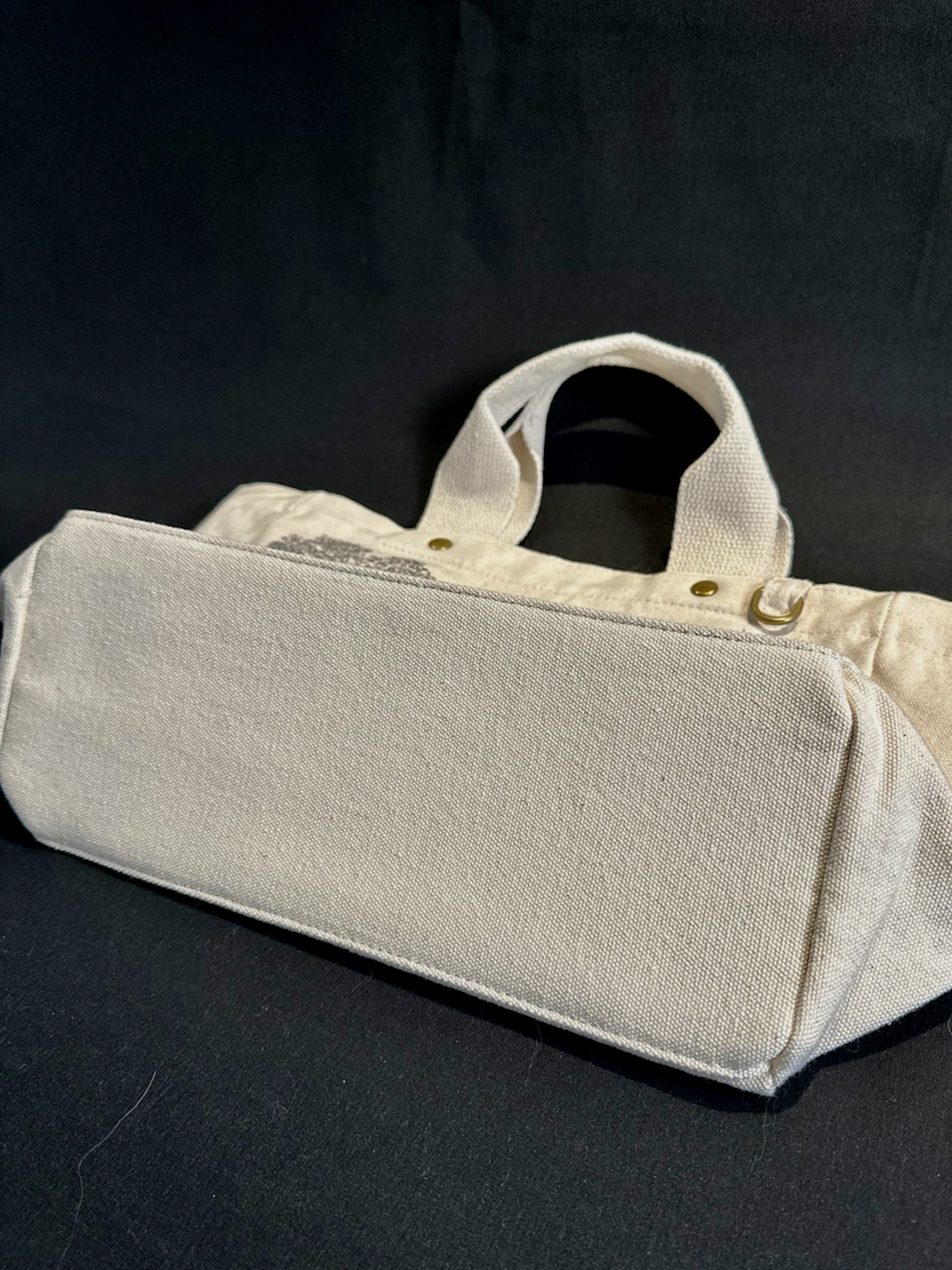 Scholars in Passing — Meadow Tote