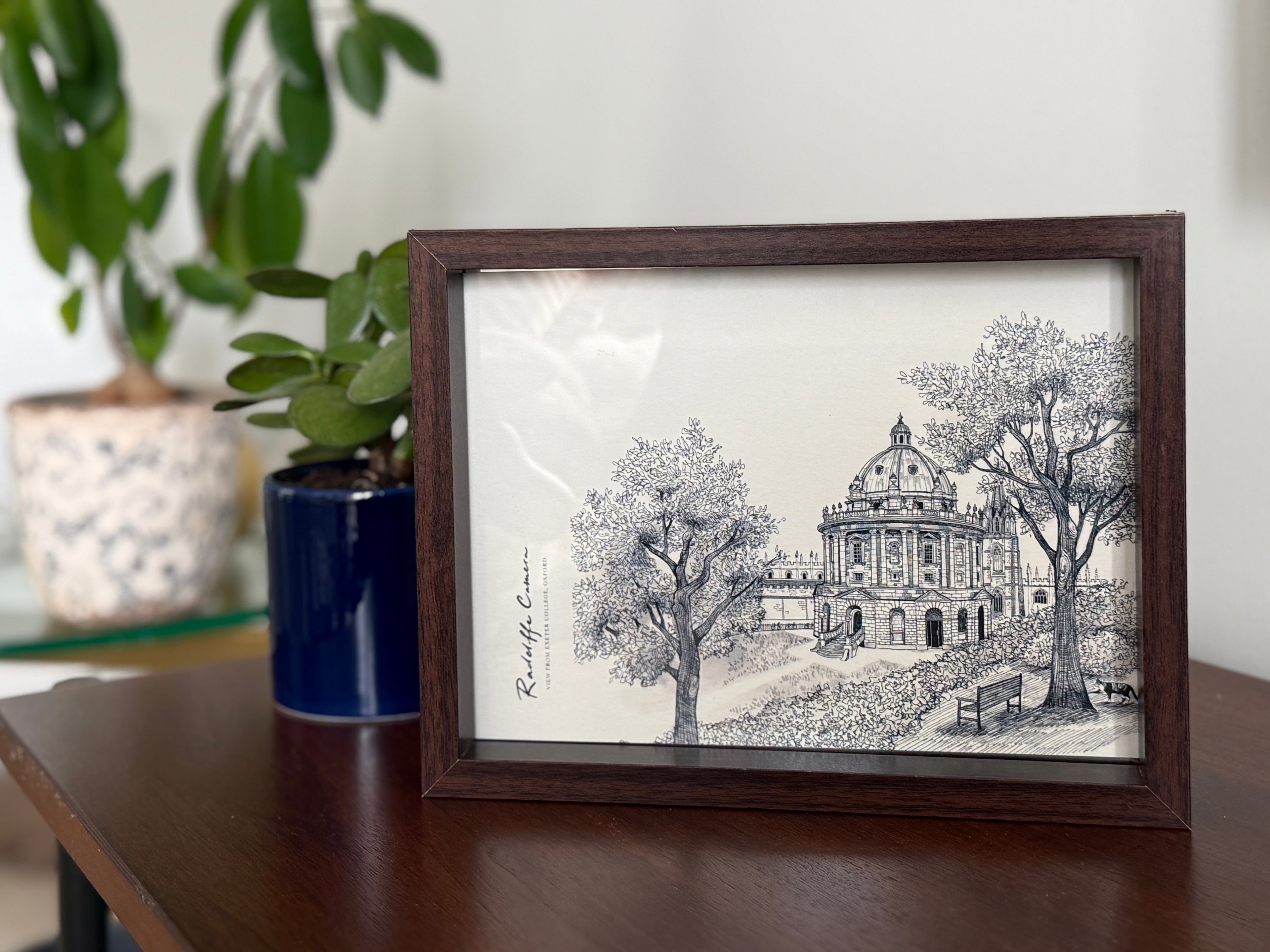 Camera in Secret — Art Print Postcard