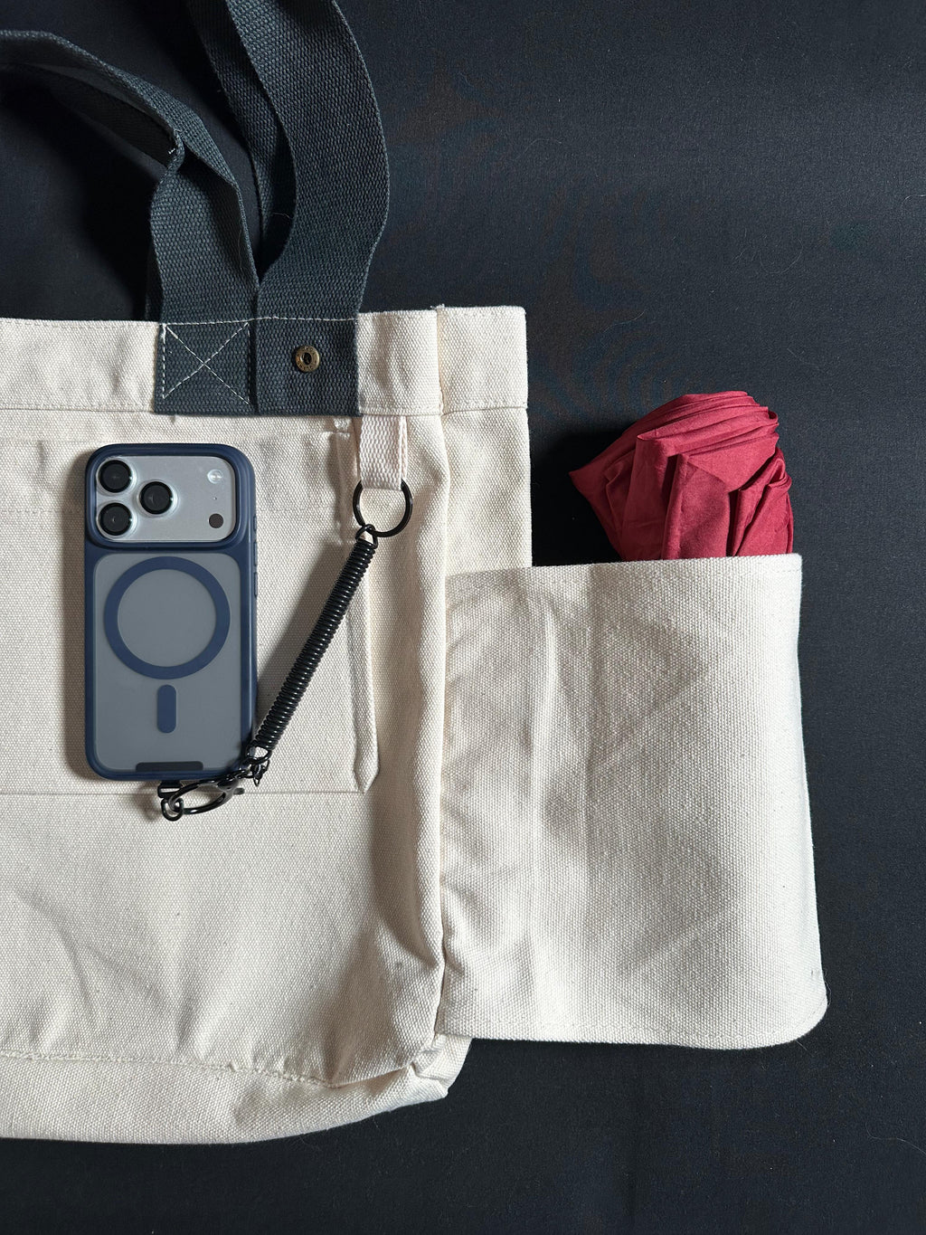 Steps to the Great Hall — Scholar Tote